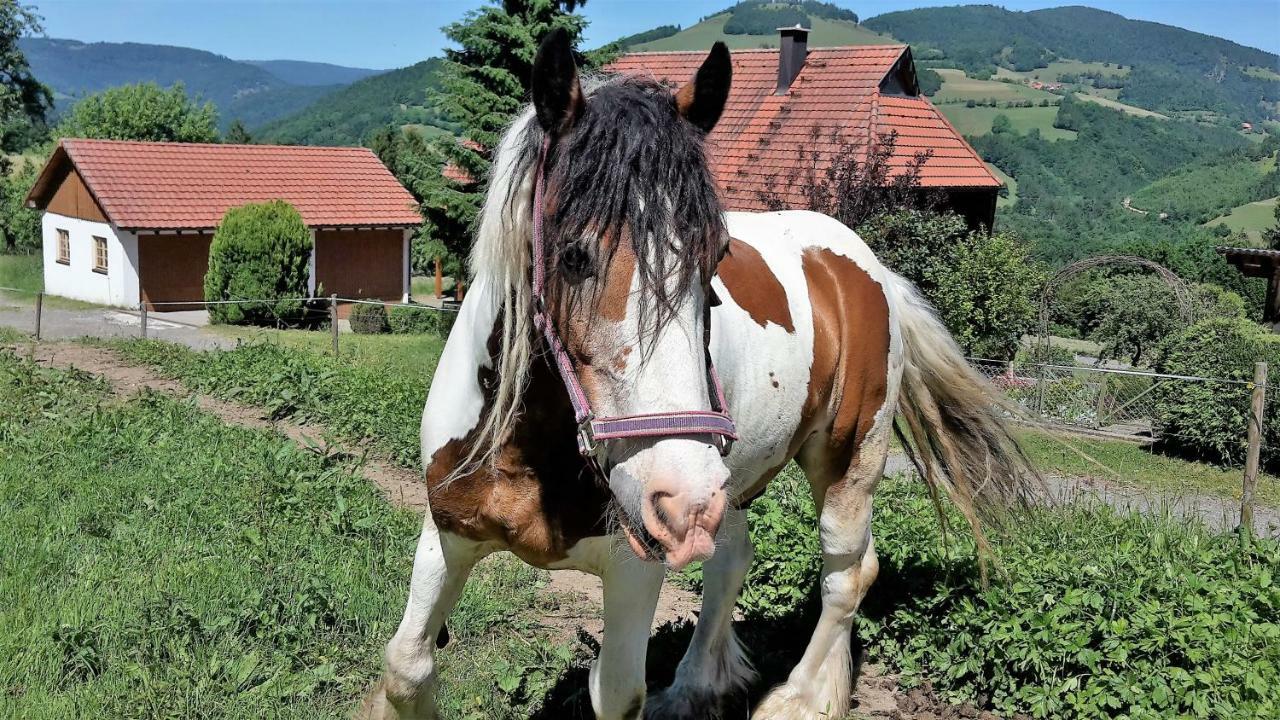 Marterer Hof Lägenhet Frohnd Exteriör bild